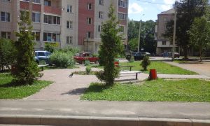 региональный оператор, ООО "ТСЖ"