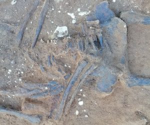 Археологи обнаружили уникальное древнее погребение в Гнездовских курганах